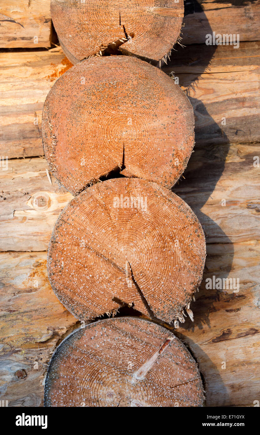 Joints between the logs in a log cabin timber wall , Finland Stock
