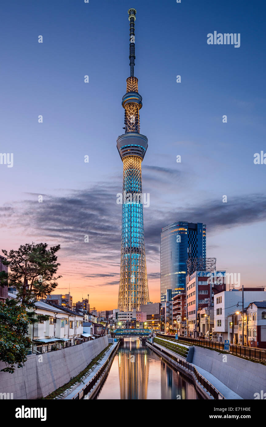 Tokyo Skytree rises above the skyline of Tokyo. The structure is the tallest in the country. Stock Photo