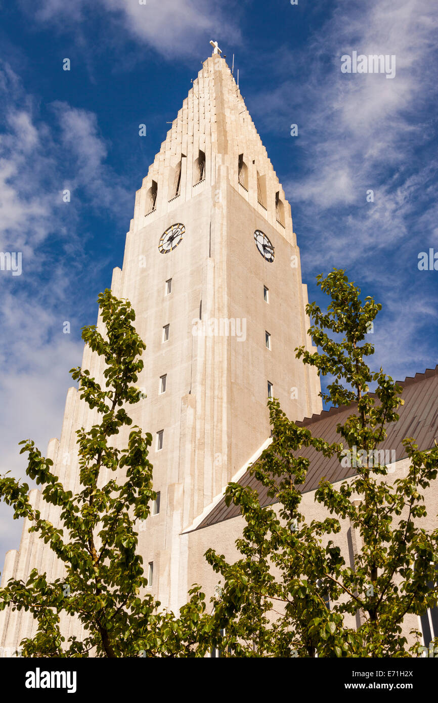 Hallgrimskirkja Church Reykjavik Iceland Stock Photo Alamy Hallgrimskirkja Church Reykjavik Iceland Stock Photo Alamy