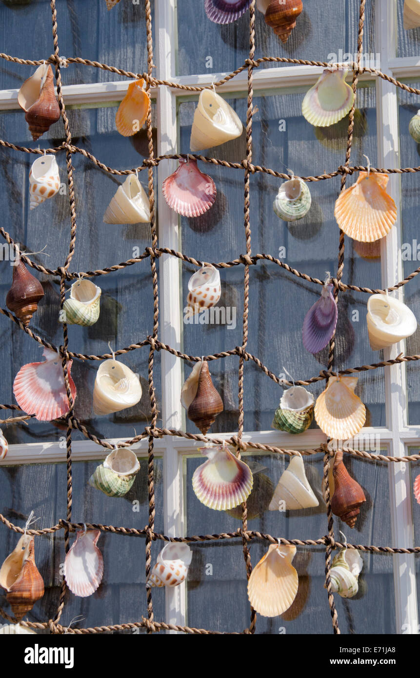 Seashells hanging hi-res stock photography and images - Alamy