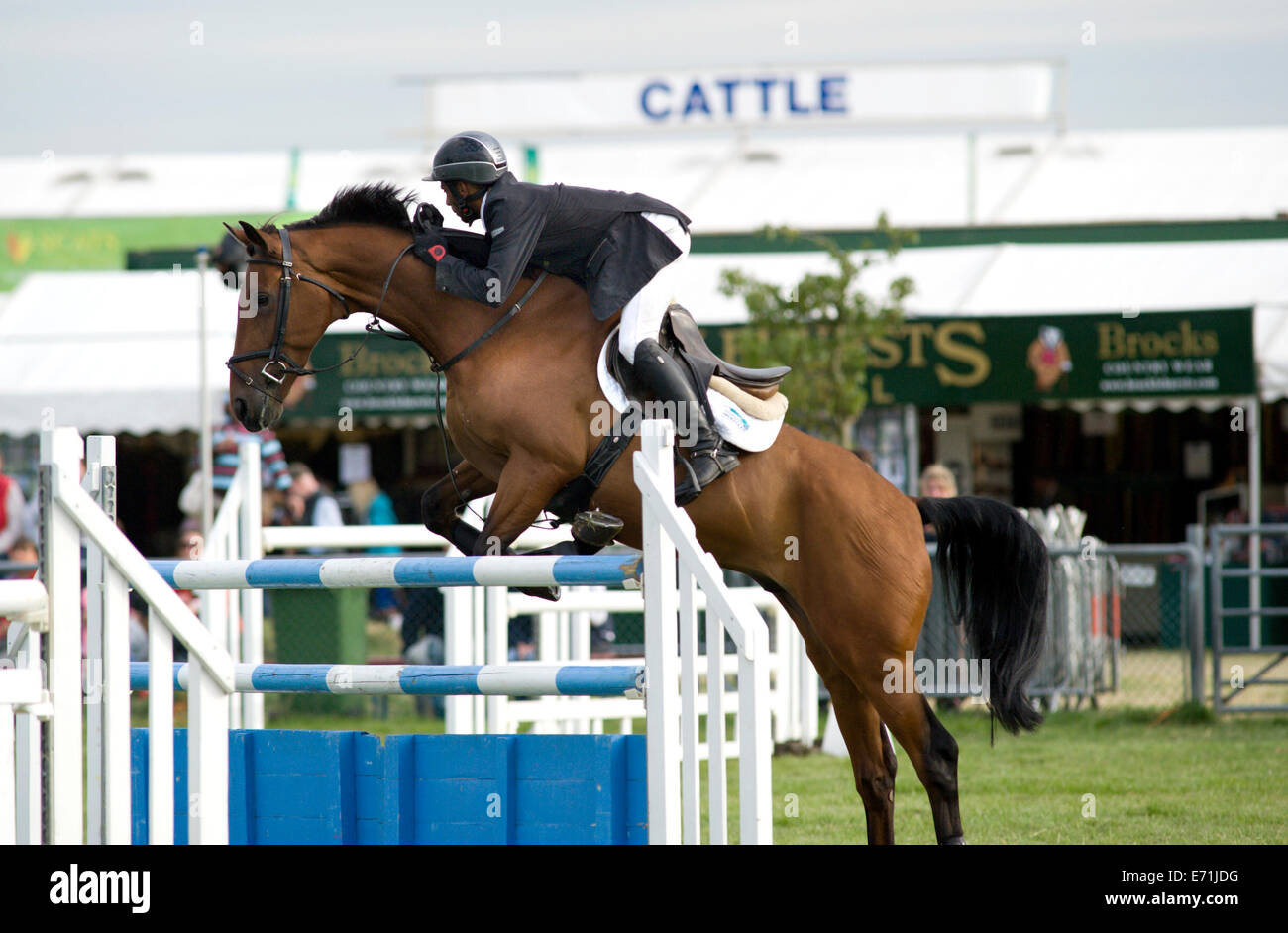 A horse and rider jump a fence in the show jumping competition at the ...