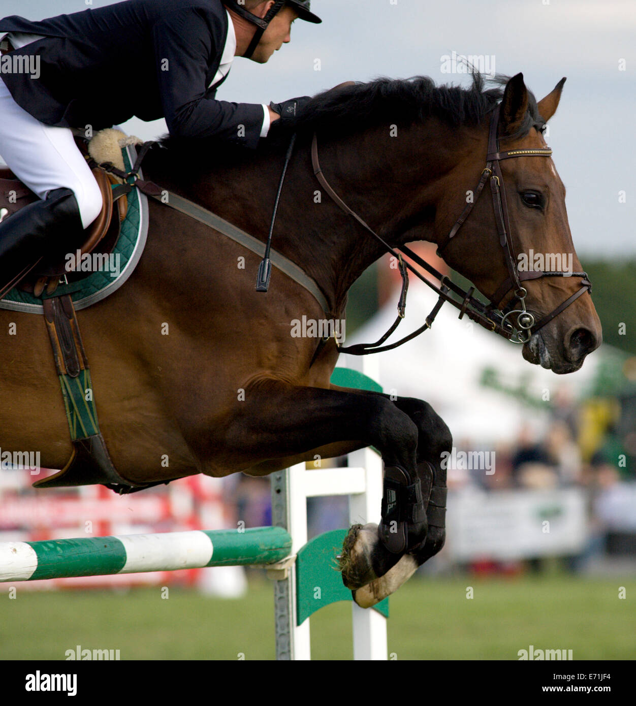 A horse and rider over a fence in the show jumping competition at the ...