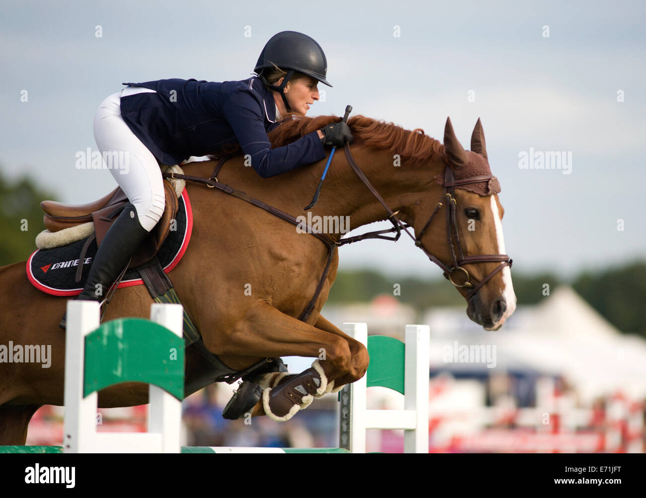 Horse jumping over fence hi-res stock photography and images - Alamy