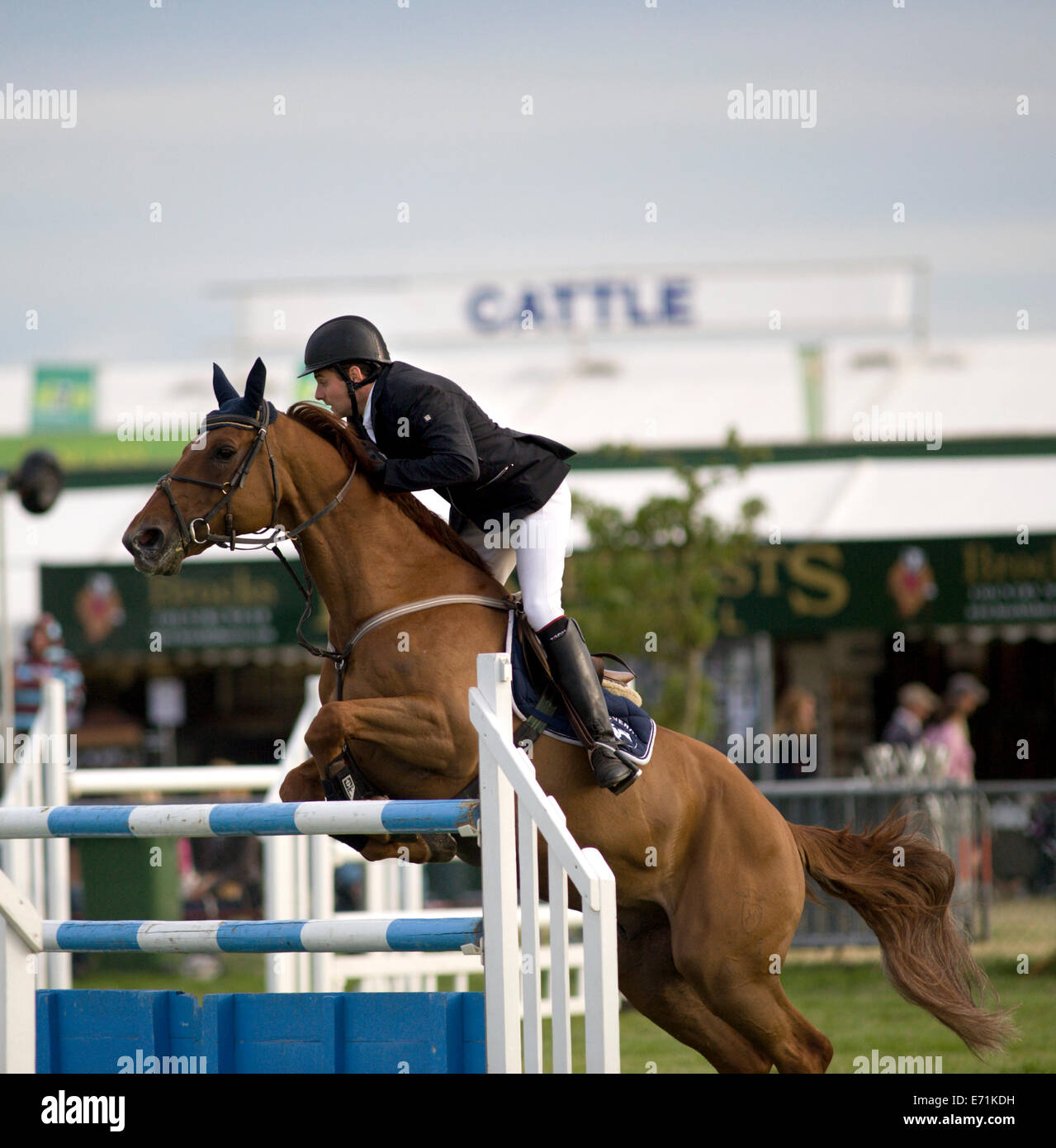 A horse and rider jump a fence in the show jumping competition at the ...