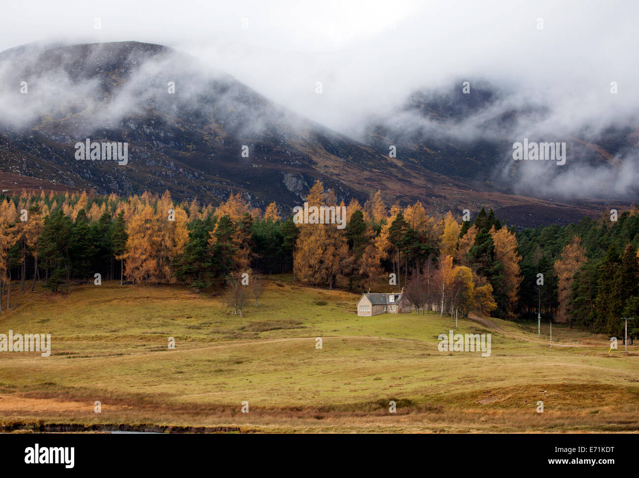 Autumn at Inchnabobart, a property on the British Royal Family's