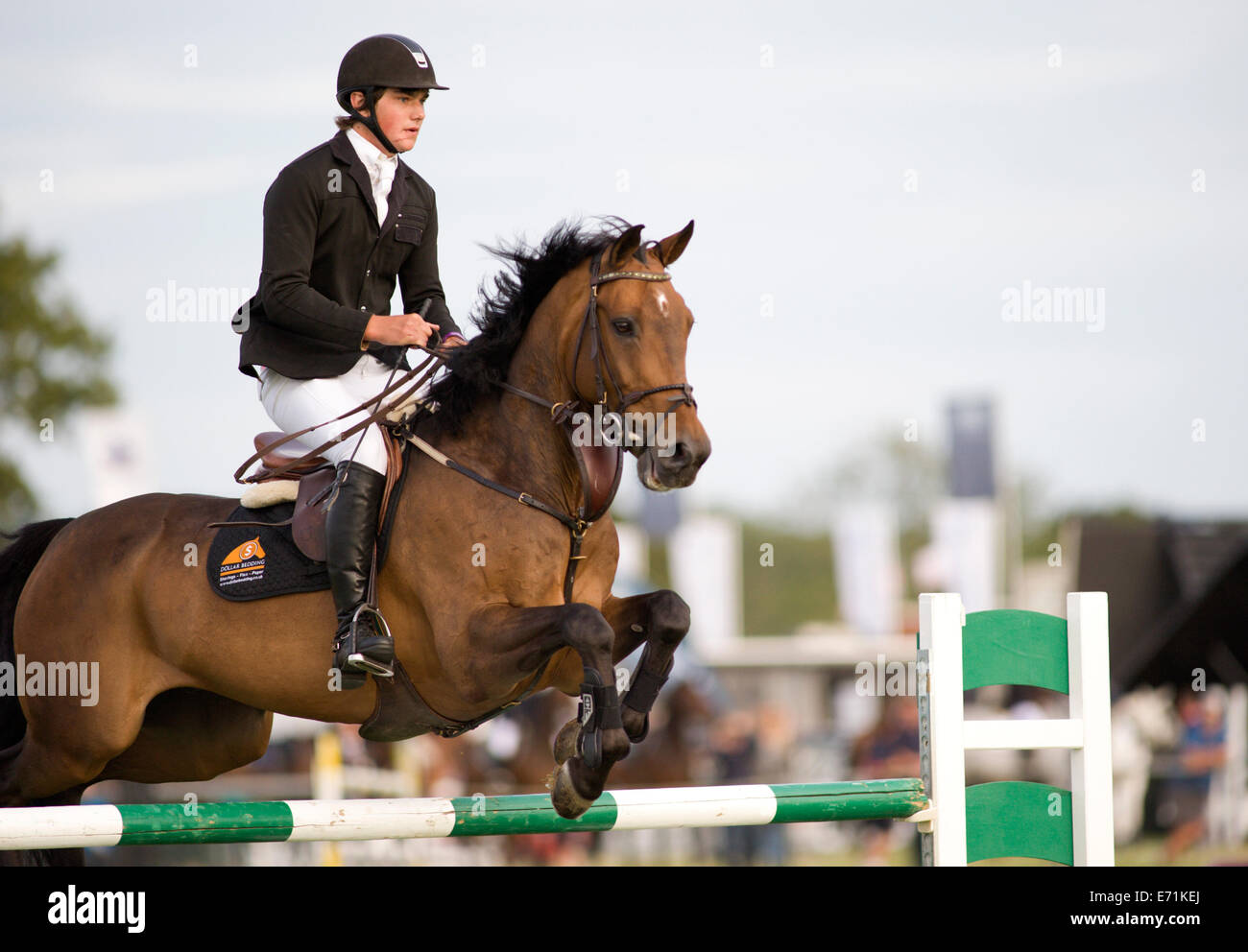A horse and rider jump a fence in the show jumping competition at the ...