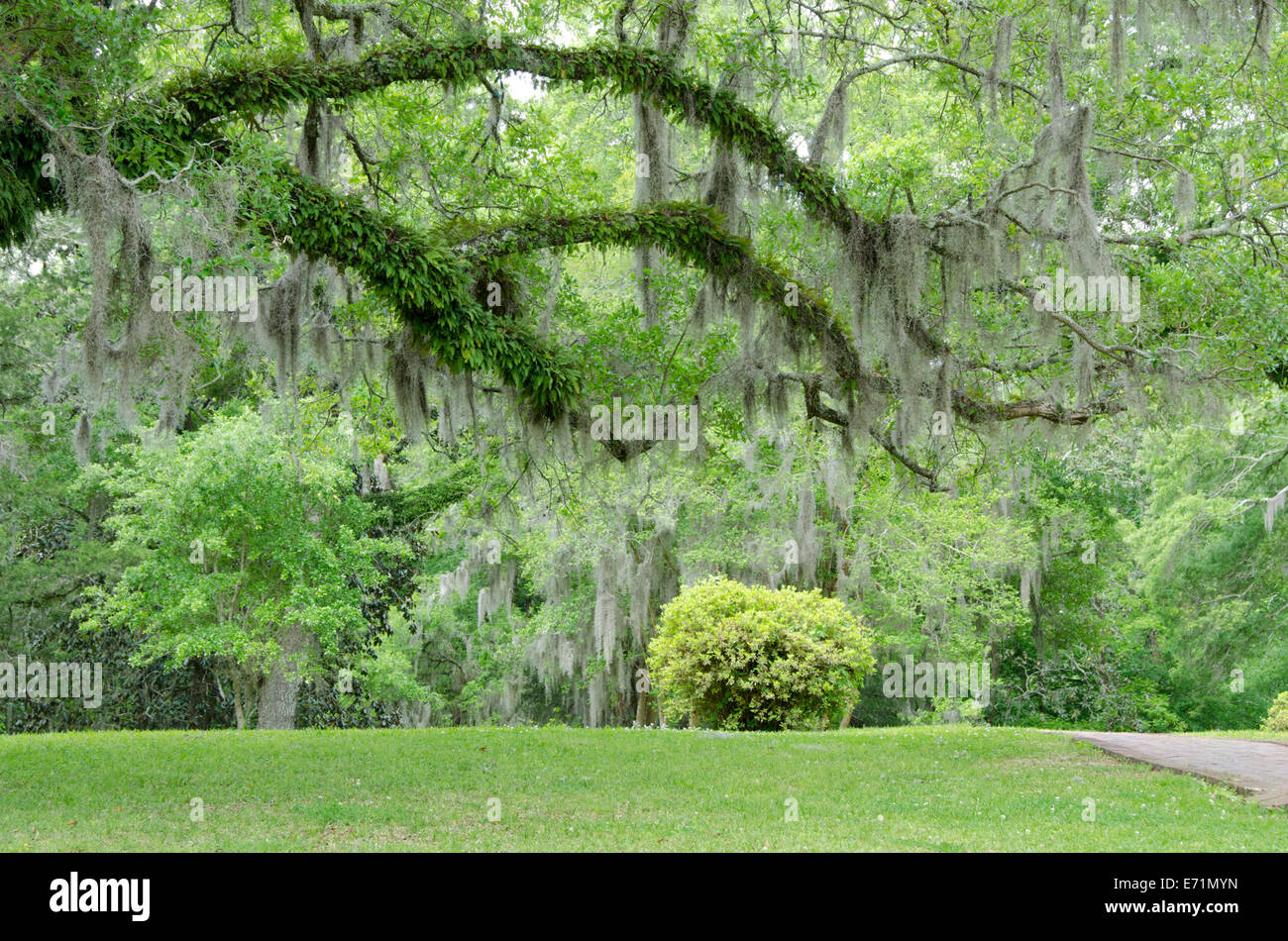 USA, Mississippi, Natchez. Longwood, historic antebellum home, extensive grounds and garden