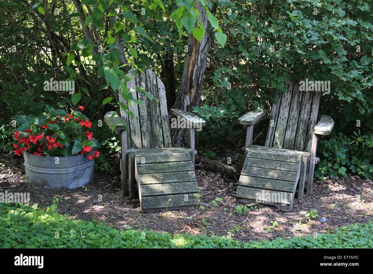 Two old wooden outdoor chairs in the shade next to a pot of flowers. Stock Photo