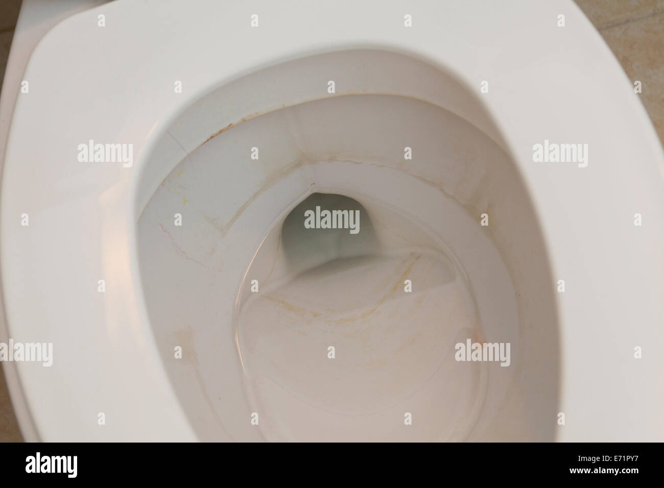 Mildew buildup in toilet bowl Stock Photo Alamy