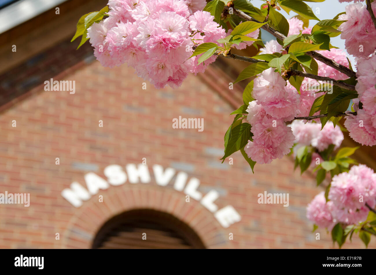USA, Tennessee, Nashville. Nashville Visitor's Center sign with pink