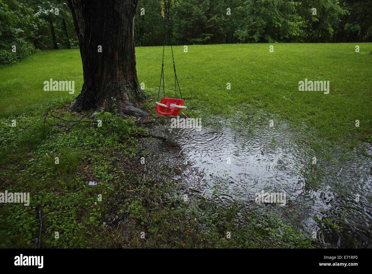 A child's swing hanging from a tree over a puddle. Stock Photo