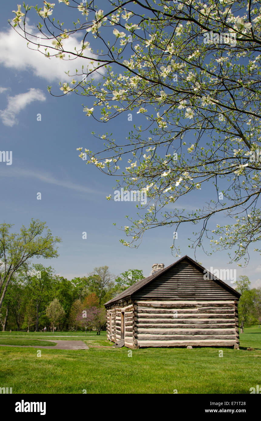 Usa Tennessee Nashville The Hermitage Historic Home And Stock