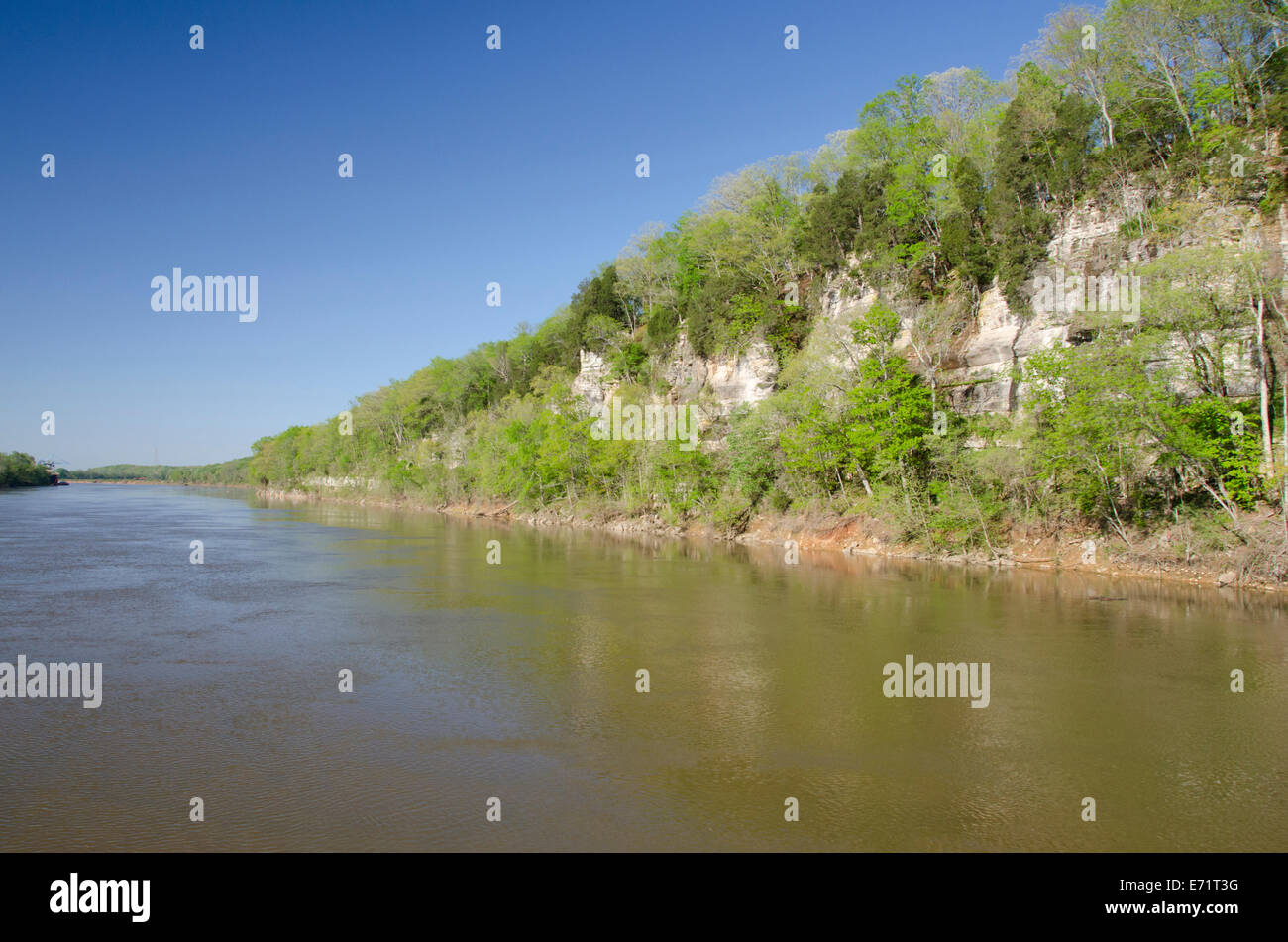 USA, Tennessee, Cumberland River. River views along the Cumberland between Clarksville and