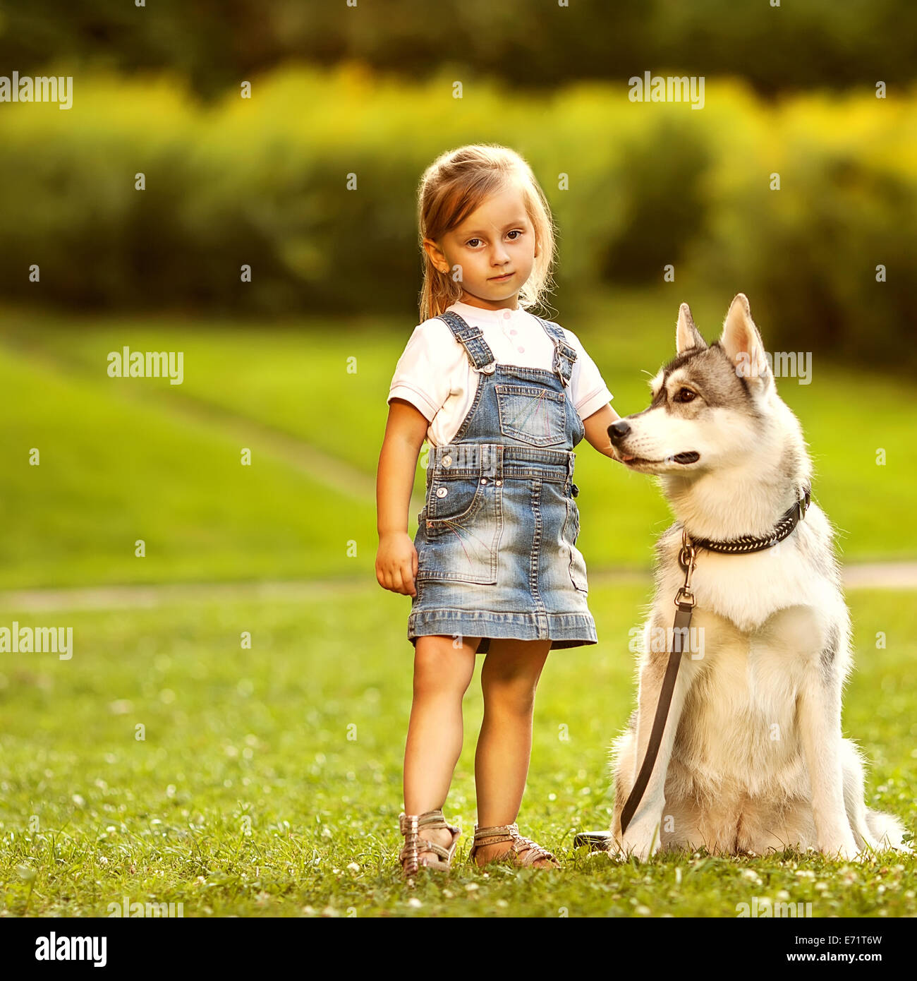 little girl in the park their home with a dog Husky Stock Photo - Alamy