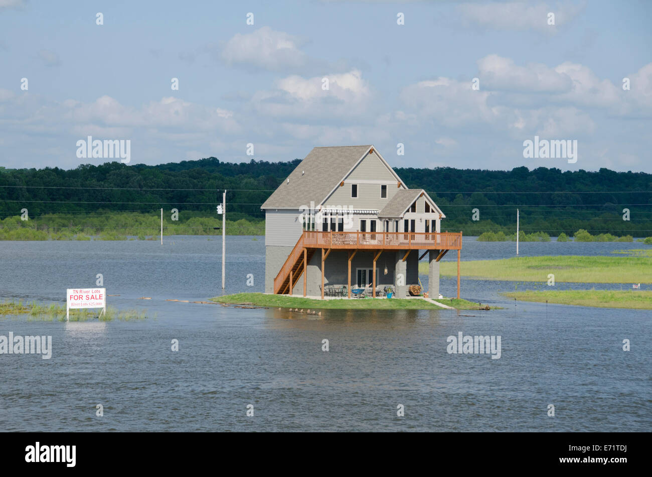 USA, Tennessee, Tennessee River near Clifton. High water and flooding