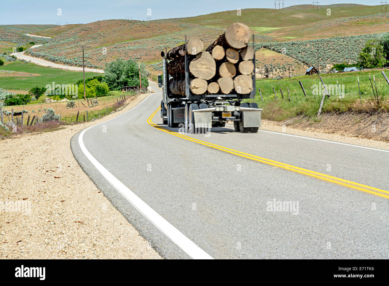 Logging truck hauling logs hires stock photography and images Alamy