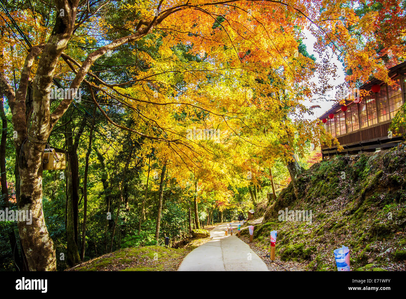 Kyoto, Japan - November 20, 2013: Jingo-ji is a Buddhist temple in Kyoto. It stands on Mount Takao to the northwest of the cente Stock Photo