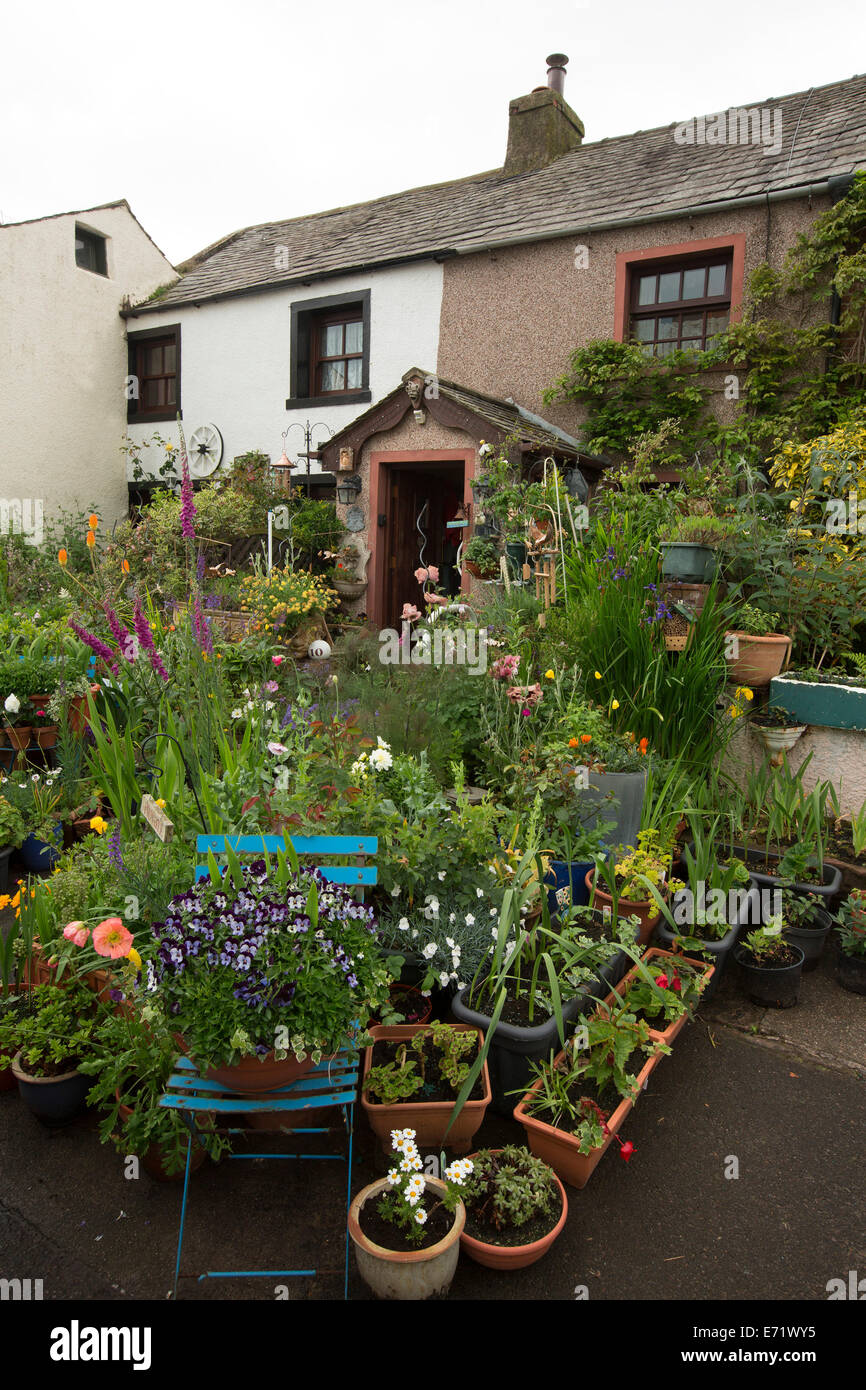 House and garden with spring flowering plants in assortment of containers at coastal village of Ravenglass, Cumbria, England Stock Photo