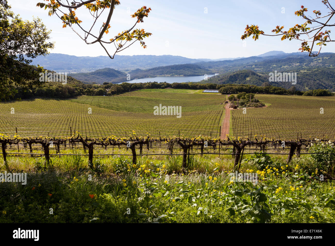 Lake Hennessey viewed from Continuum Estate, Napa Valley, California, USA Stock Photo
