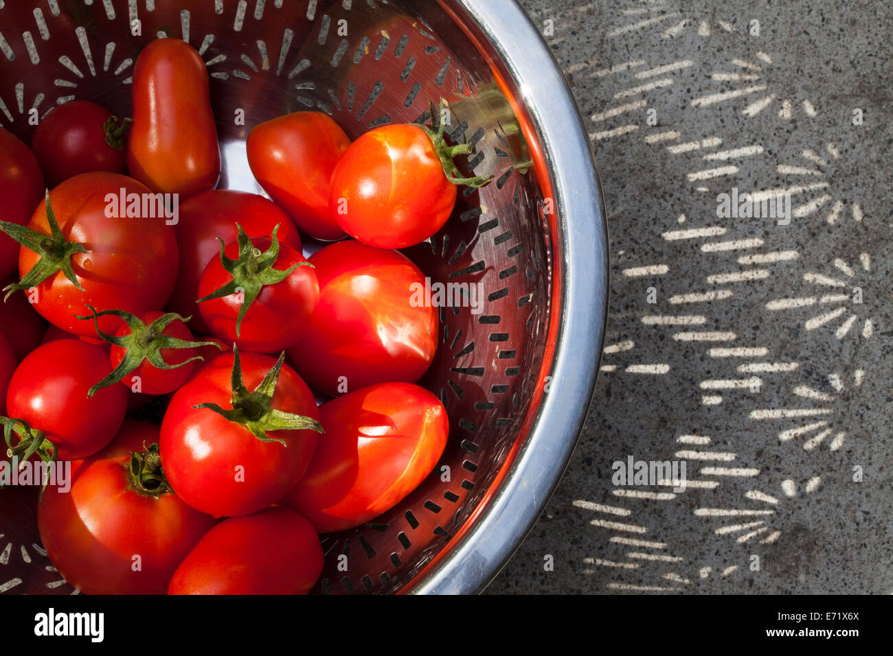 Red tomatoes in a colander, Marin County, California, USA Stock Photo