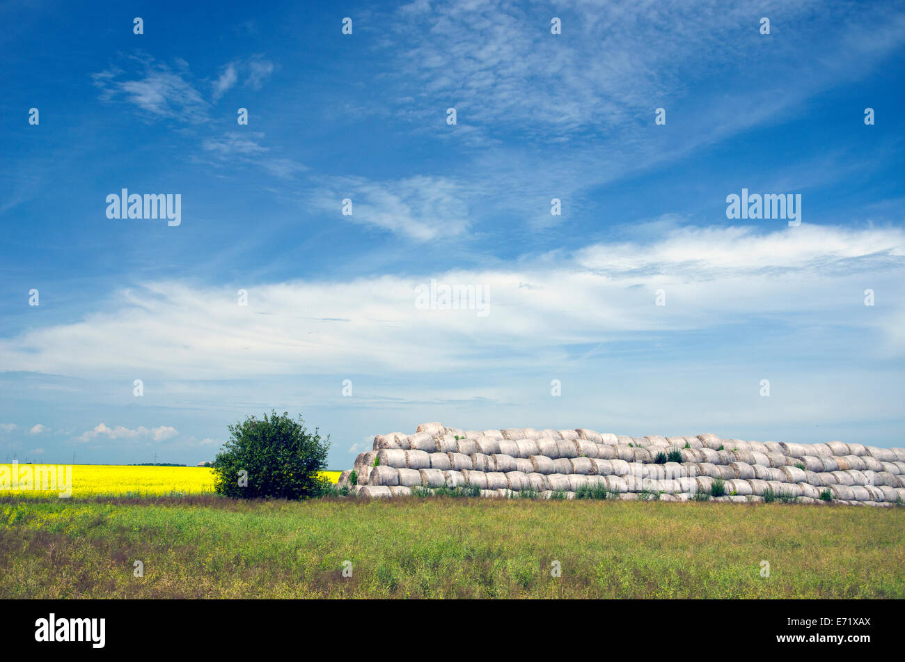 summer time agriculture landscape with old straw stack Stock Photo - Alamy