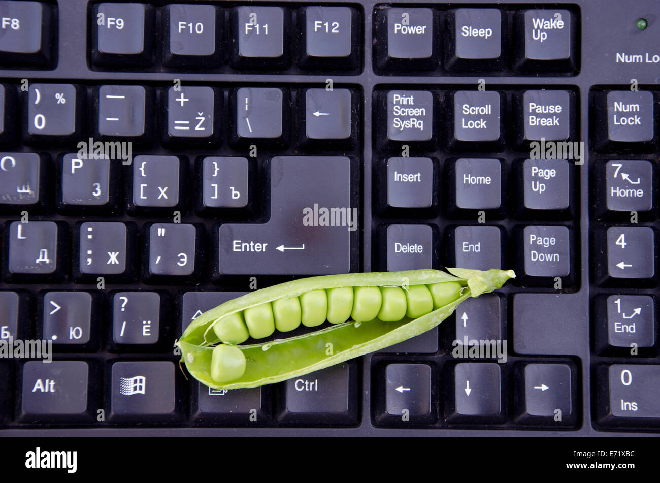 fresh sweet green pea pod on black computer keyboard Stock Photo