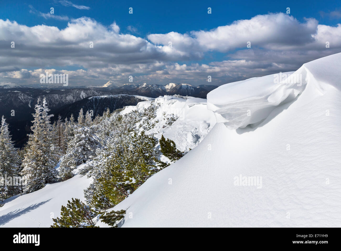 Snow-covered winter forest with overhanging snow at Mt Wildkamm, Niederalpl, Mürzsteg Alps, Styria, Austria Stock Photo