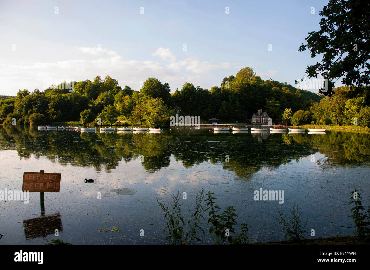 Evening at Swanbourne Lake Arundel West Sussex Stock Photo - Alamy