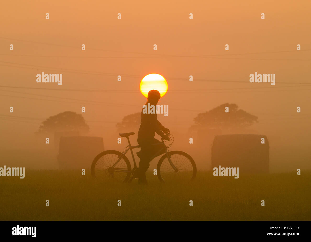 Female mountain biker on misty morning at sunrise. UK Stock Photo