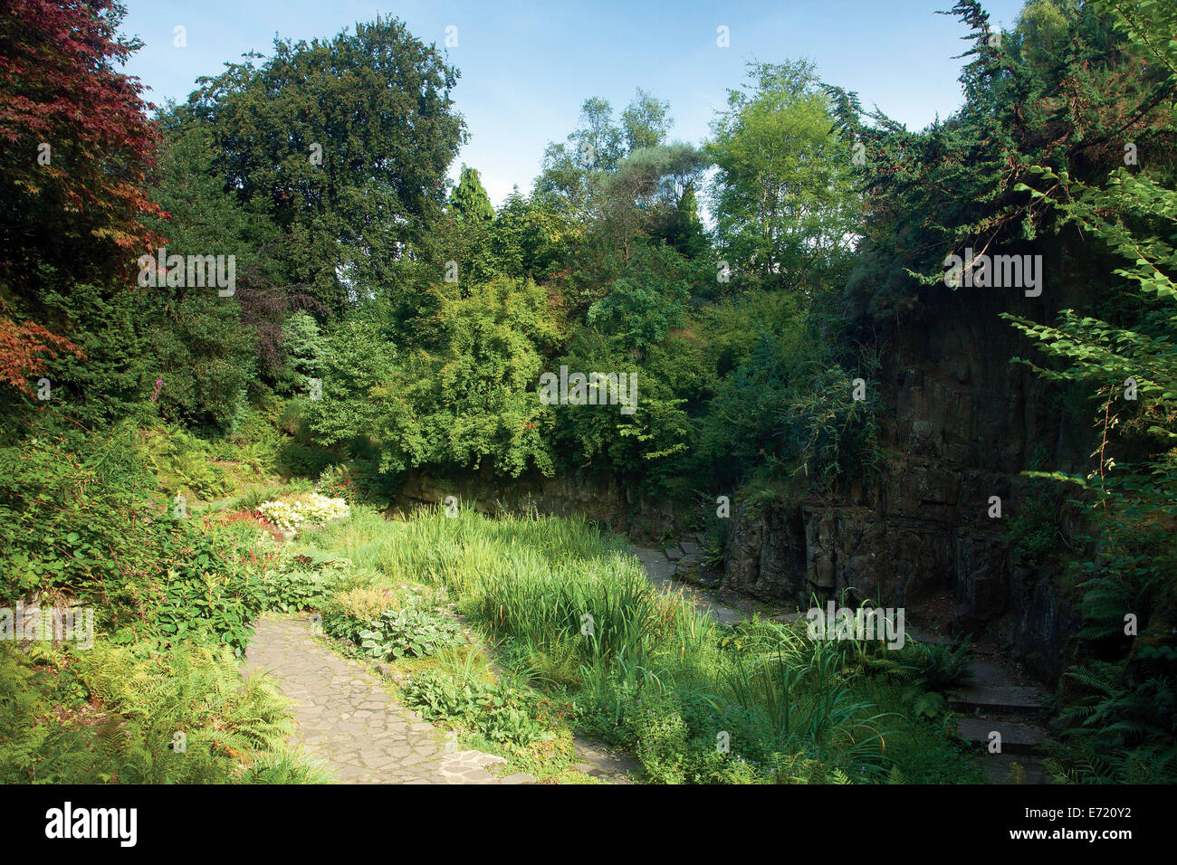 Fossil grove, glasgow hires stock photography and images Alamy