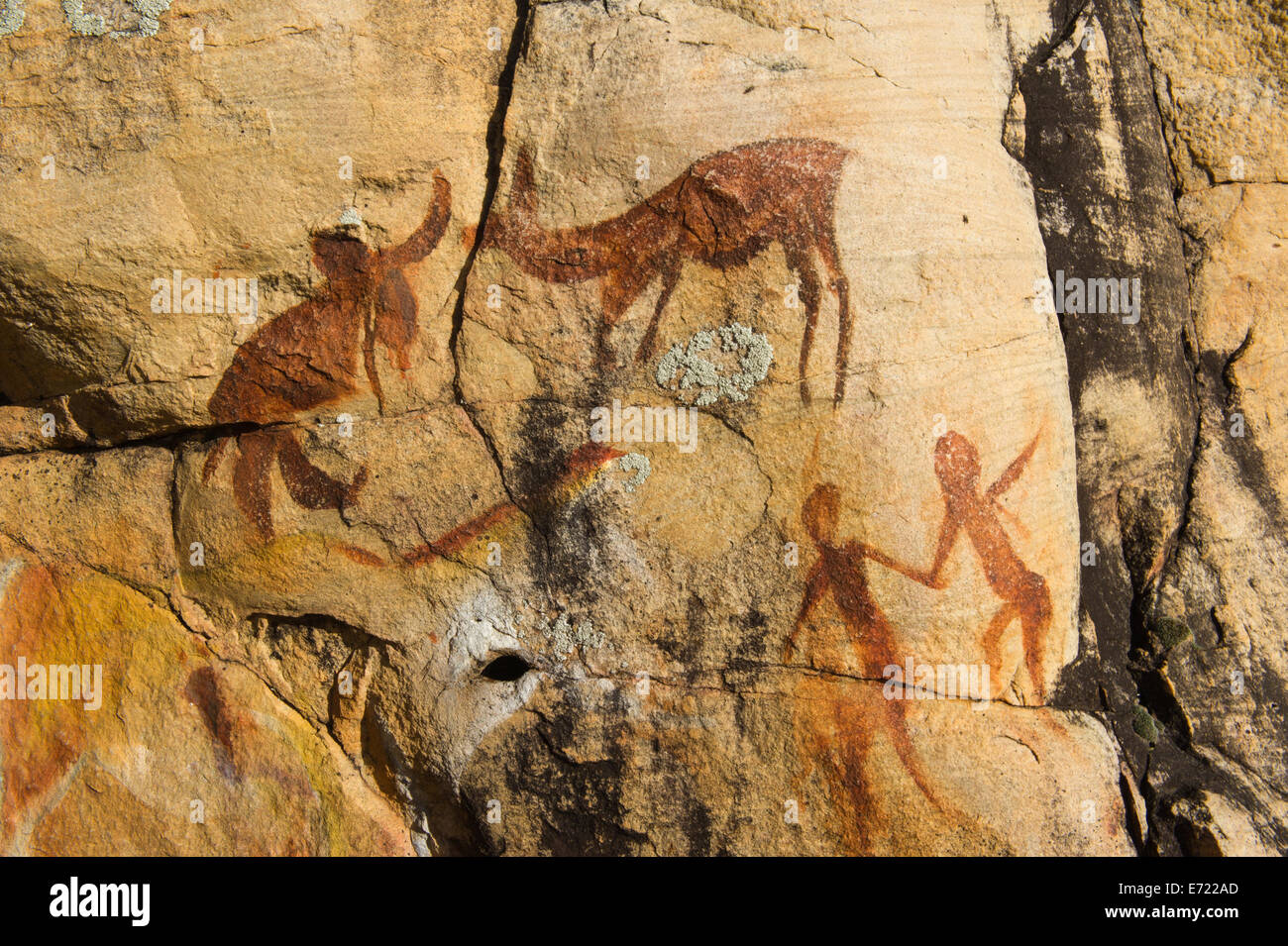 Rockart in Ramskop Wildflower Garden, Clanwilliam, South Africa Stock