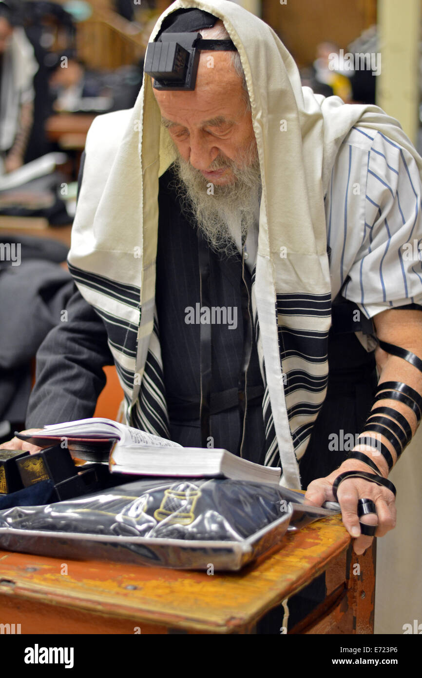 Religious Jewish man praying wearing Tefillin, phylacteries, and a prayer shawl at a synagogue in Brooklyn, New York Stock Photo