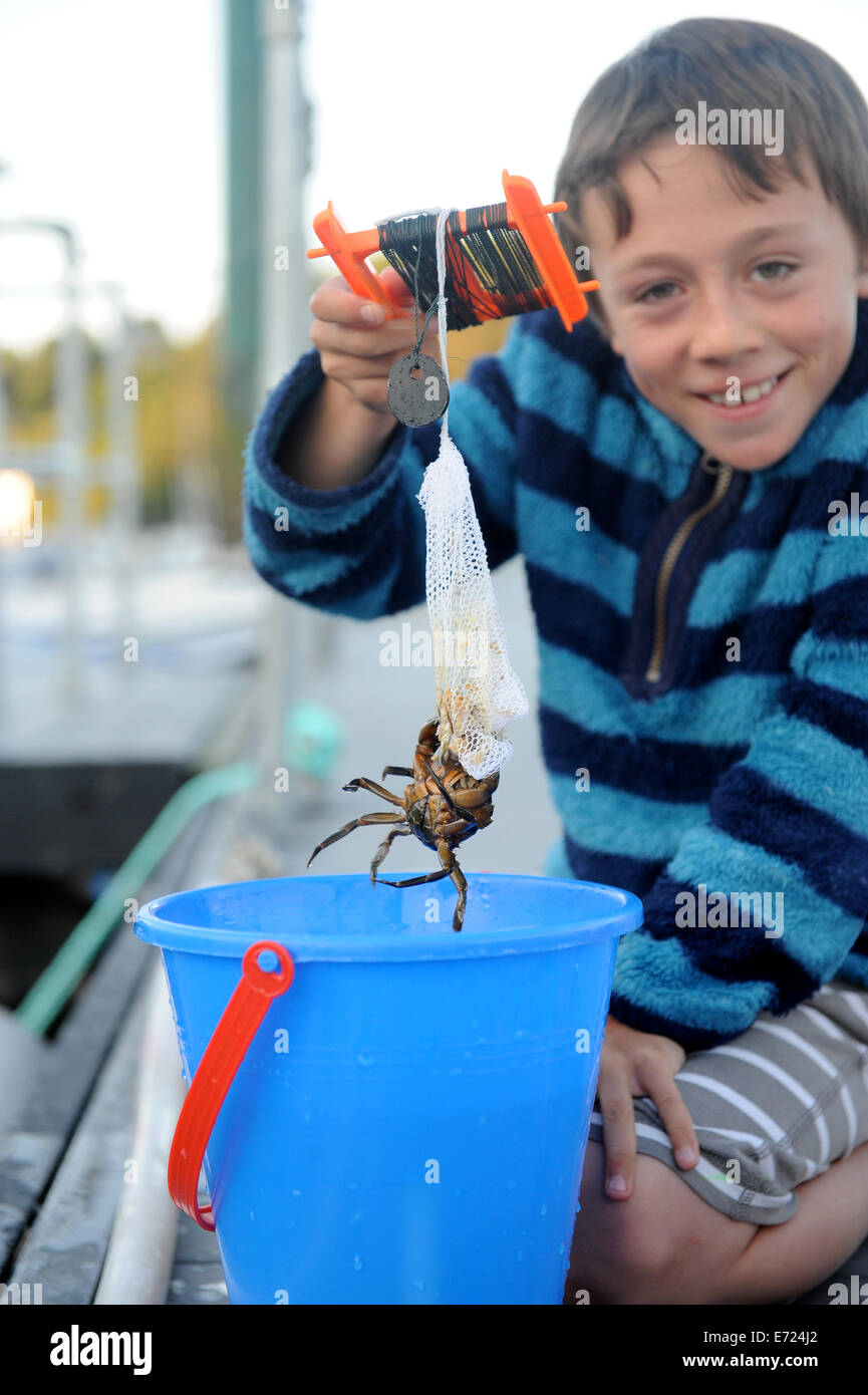 Kids fishing crab hi-res stock photography and images - Alamy