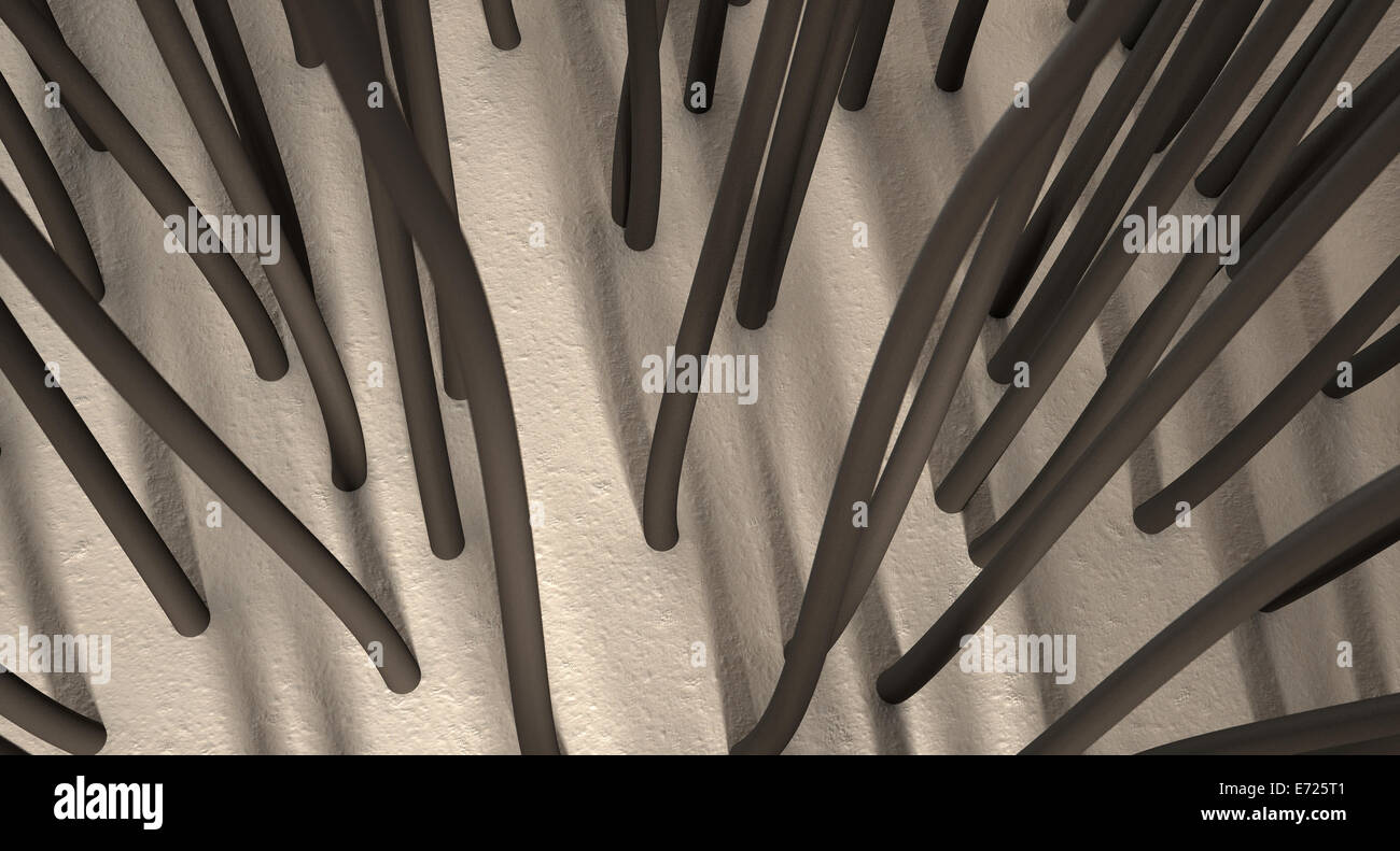A microscopic closeup view of strands of textured hair rooted in skin on a scalp on a dark background Stock Photo