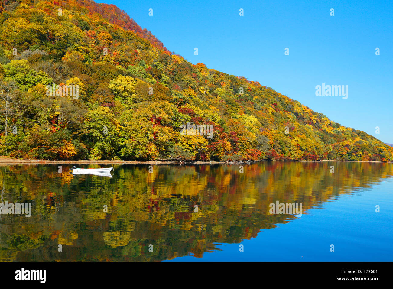 Autumn leaves the Lake Towada Stock Photo