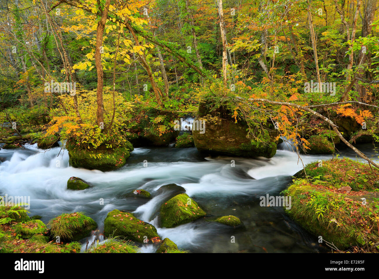 Aomori hi-res stock photography and images - Alamy