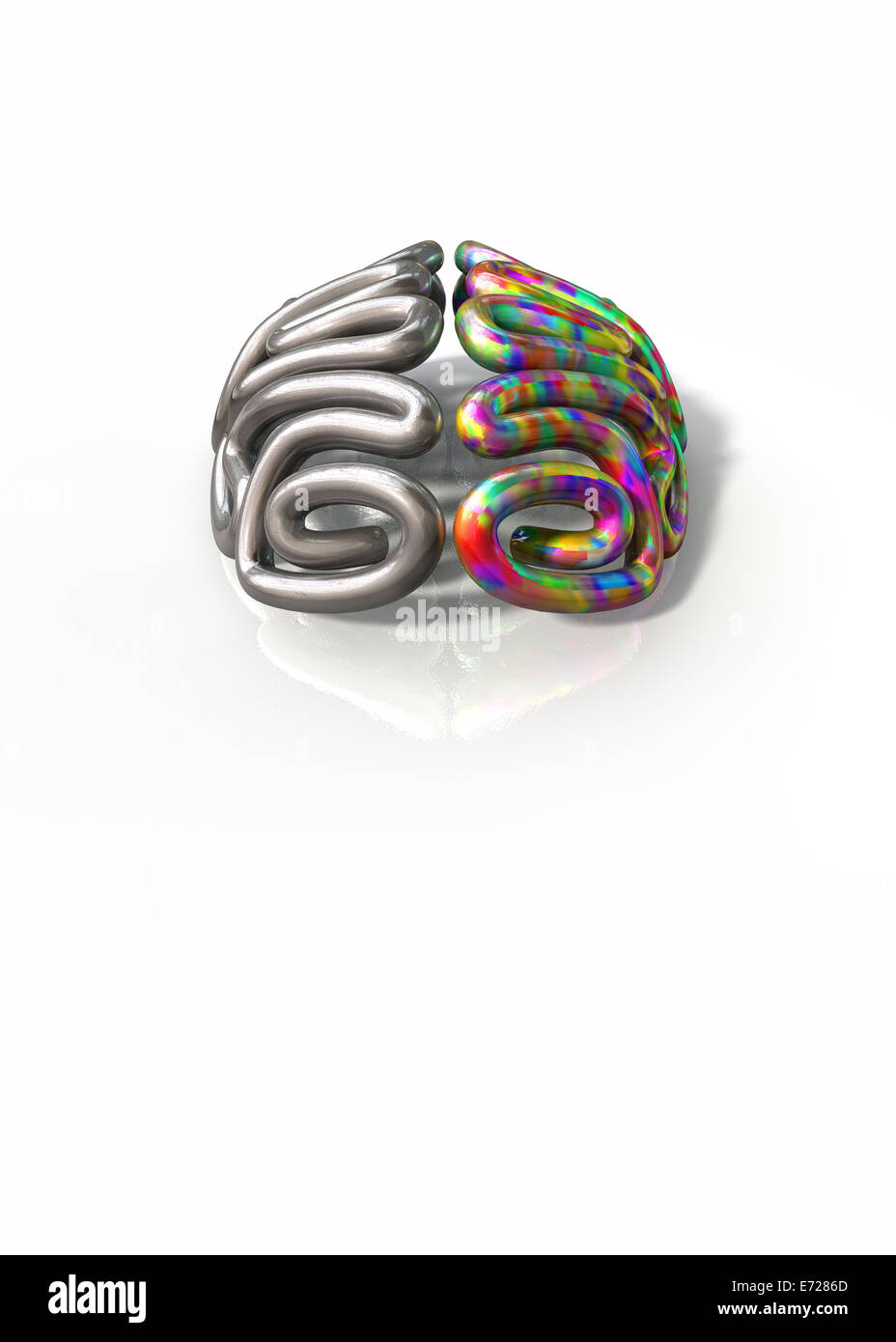 A stylized metal casting depicting a brain with the left side depicting an conservative and logical mind, and the right side dep Stock Photo