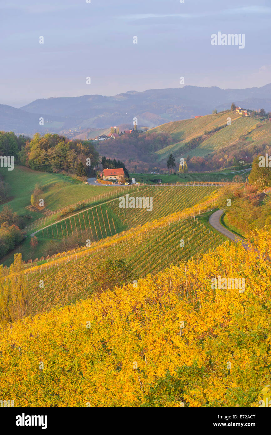 Autumnal vineyards and farmhouses in the morning light, Ratsch an der Weinstraße, Styria, Austria Stock Photo