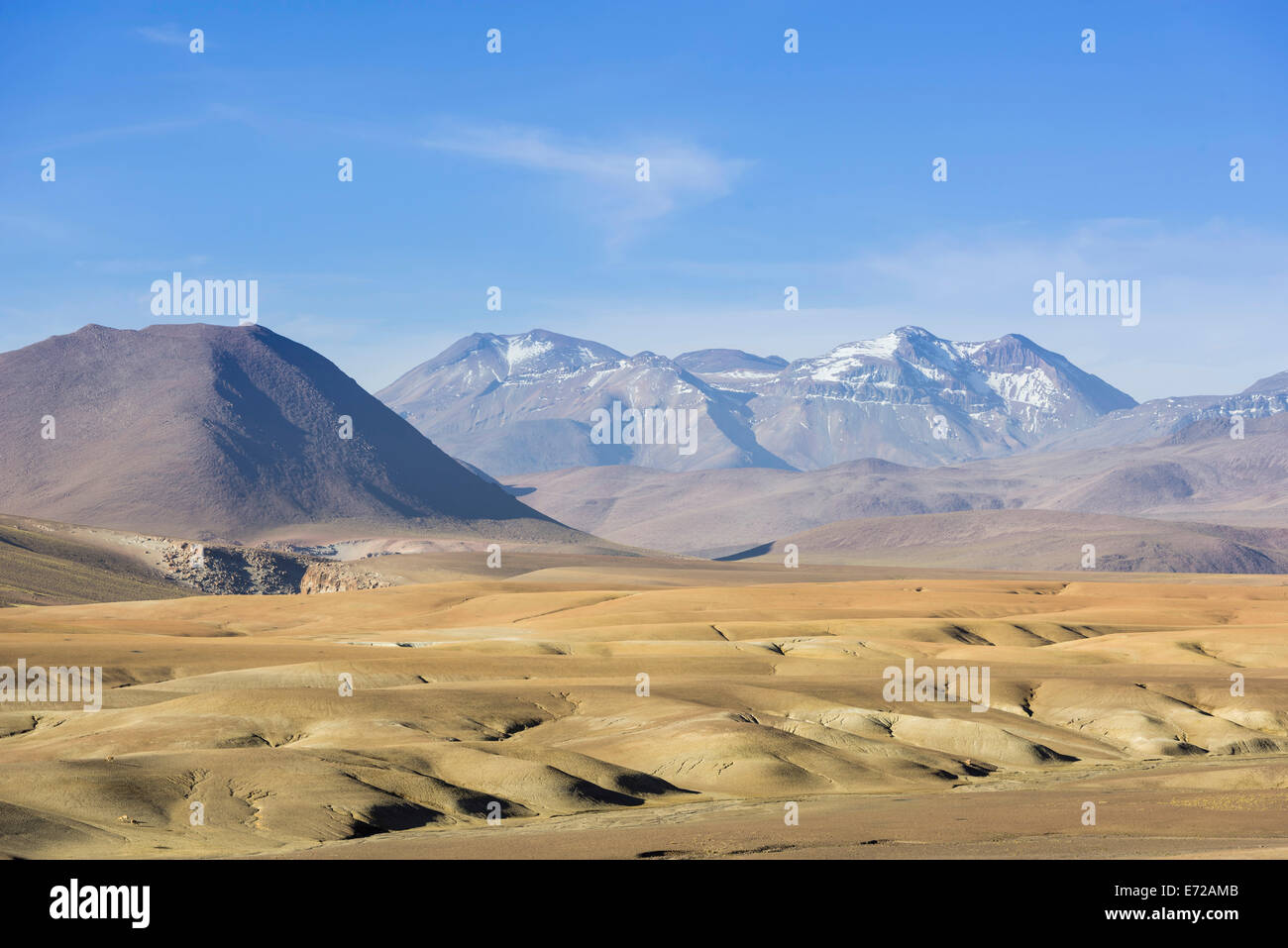 Highland region, San Pedro de Atacama, Antofagasta Region, Chile Stock Photo