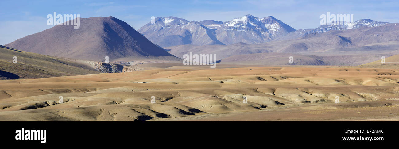 Highland region, San Pedro de Atacama, Antofagasta Region, Chile Stock Photo