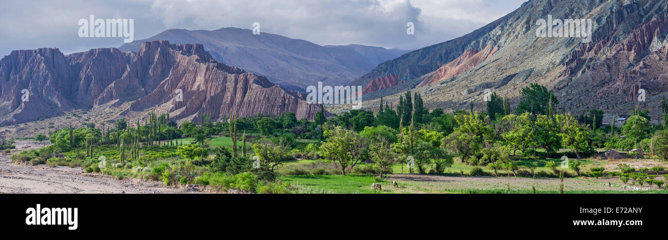 Panoramic, lush vegetation at the Purmamarca river, behind Cerro de los Siete Colores or Hill of Seven Colors in Purmamarca Stock Photo