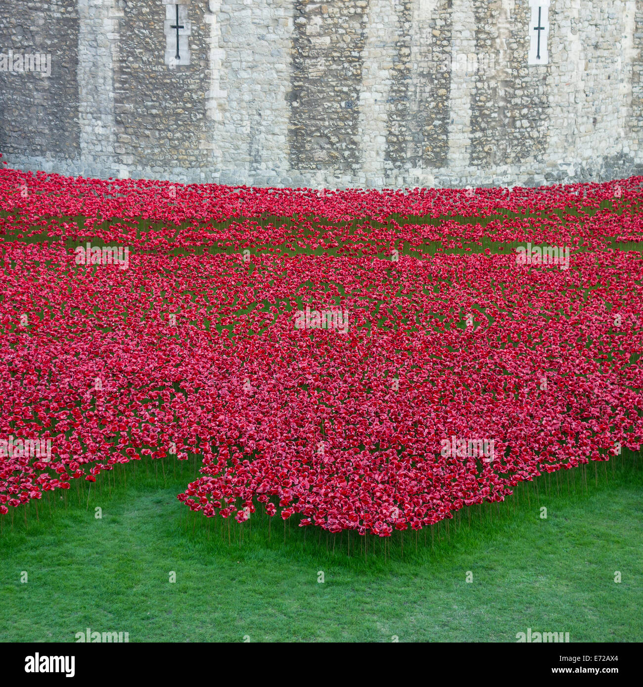 Tower of London Poppies World War One Art Project Stock Photo