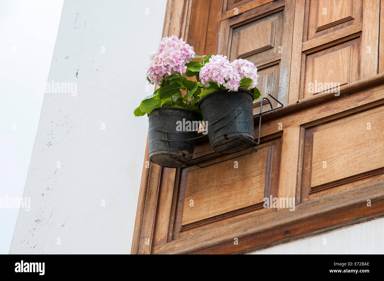 Old wooden window with flowers hanging Stock Photo - Alamy