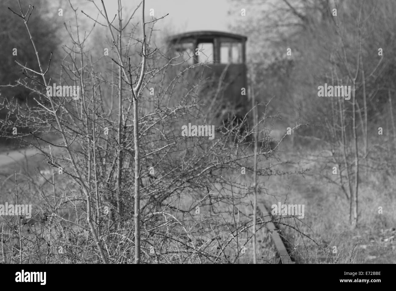 old abandoned train yard Stock Photo Alamy