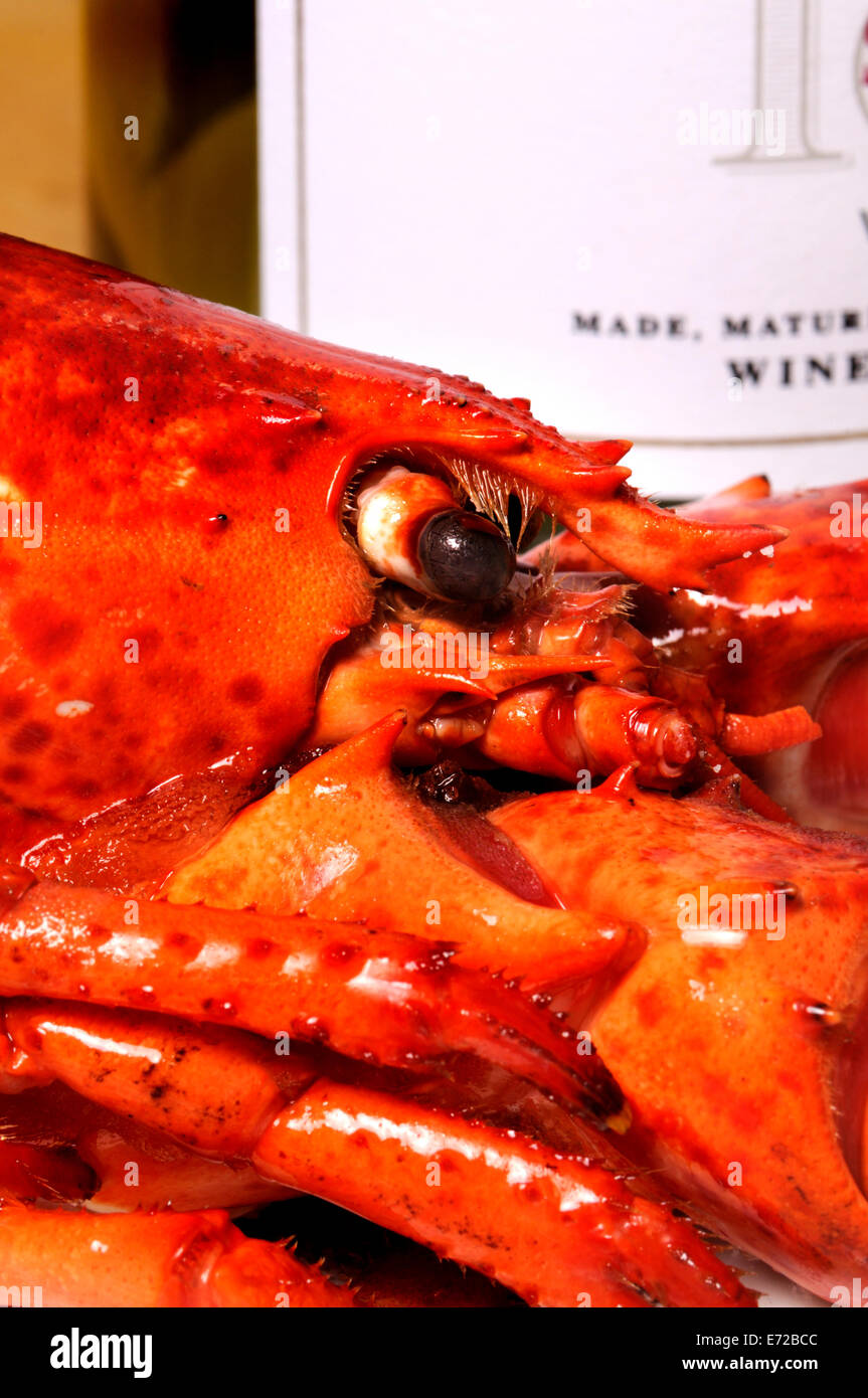 Cooked lobster and bottle of white wine Stock Photo