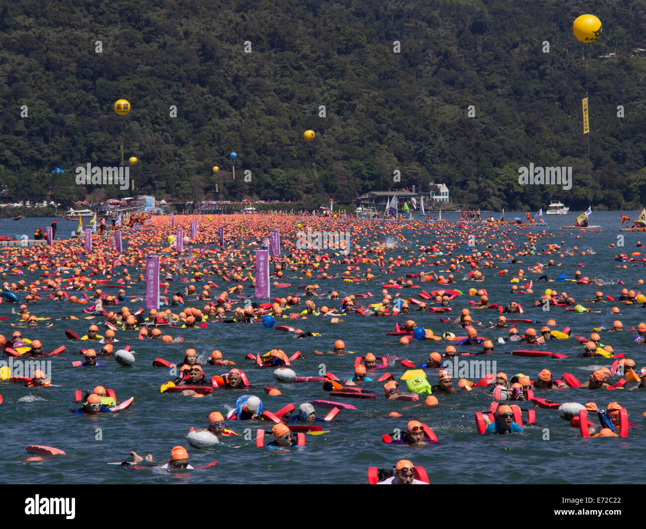 The Sun Moon Lake In Taiwan Is Colored By Tens Of Thousands Swim Stock Photo Alamy