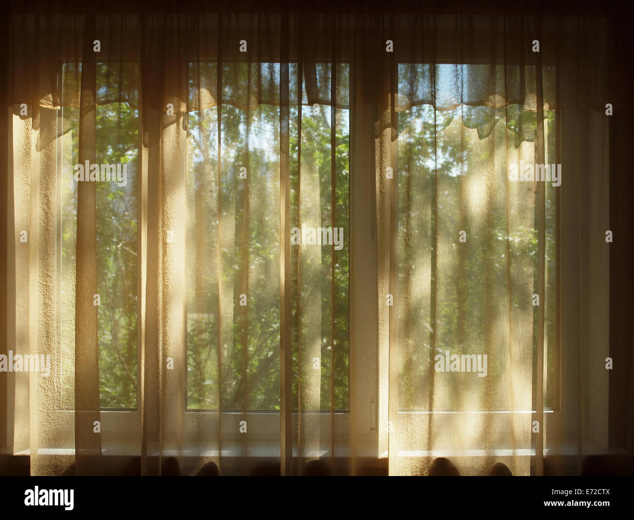 Curtained window in a dark room, a view of the green trees. Stock Photo