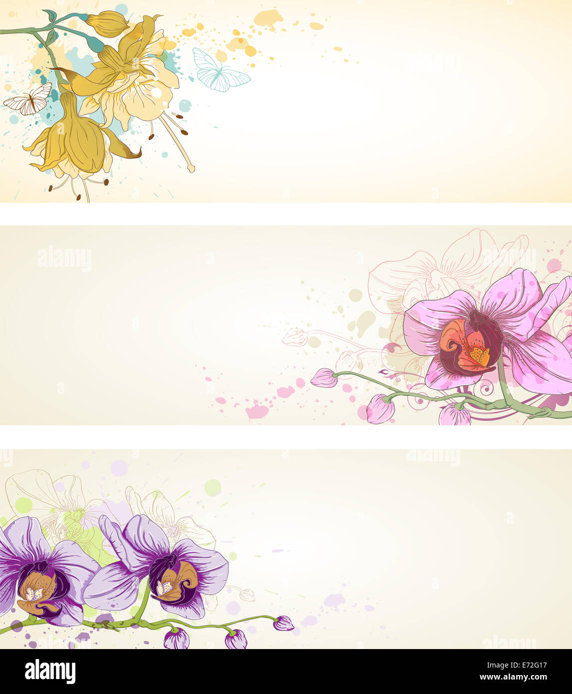 floral banners with butterflies and orchids Stock Photo