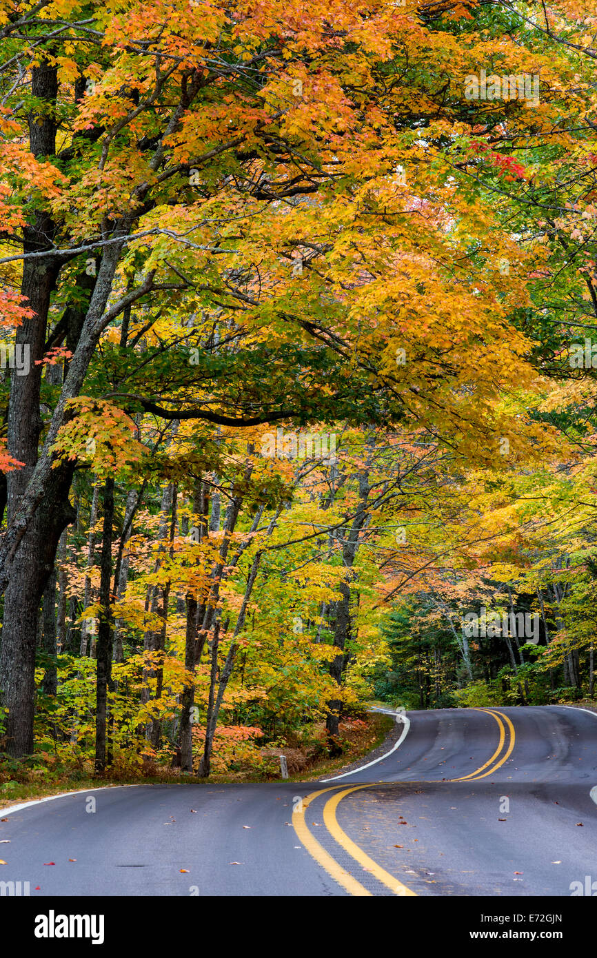 Autumn canopy of color along Highway 41 leading into Copper Harbor