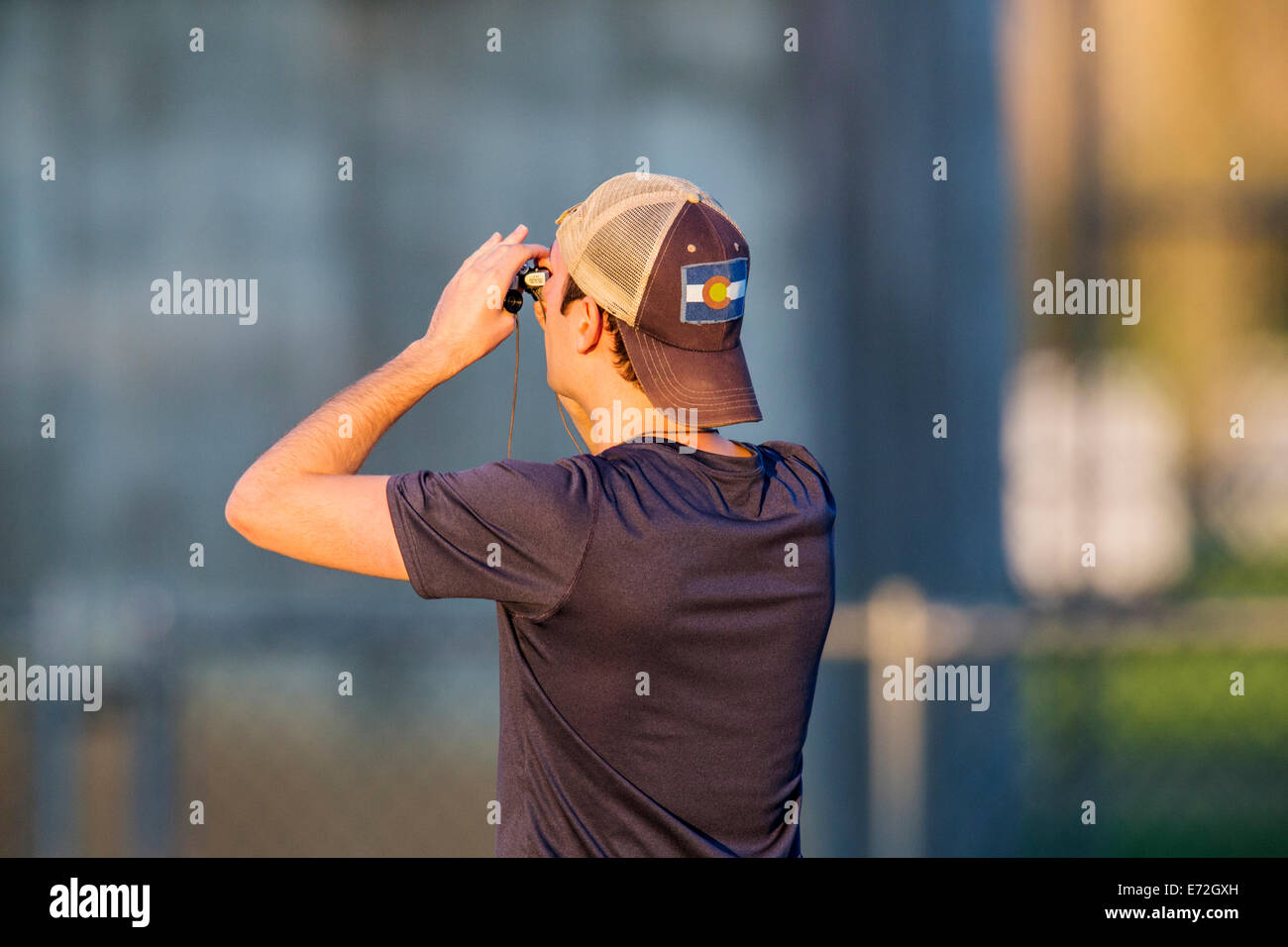 Young man birdwatching Ospreys with binoculars Stock Photo